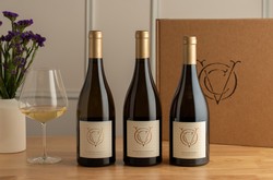 Chardonnay Day Vertical